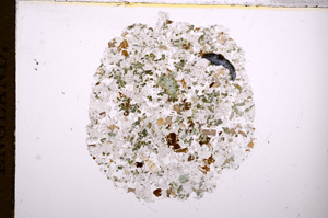 Plane Polarized, E7535