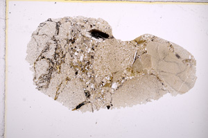 Plane Polarized, E7562