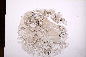 Plane Polarized, E7563