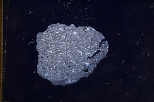 Cross Polarized, E7564