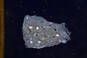 Cross Polarized, E7565