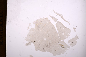 Plane Polarized, E7566