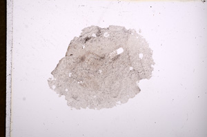 Plane Polarized, E7567