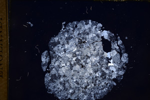 Cross Polarized, E7568