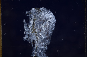 Cross Polarized, E7569