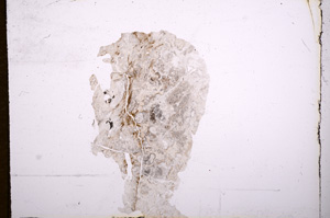 Plane Polarized, E7569