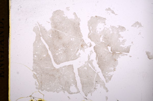 Plane Polarized, E7570