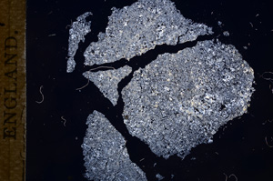 Cross Polarized, E7571