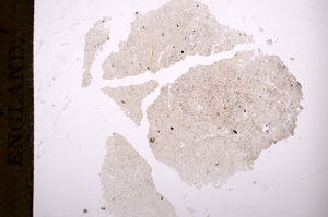 Plane Polarized, E7571