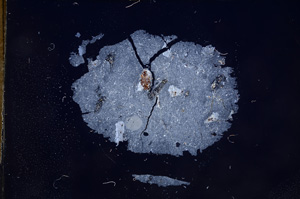 Cross Polarized, E7573