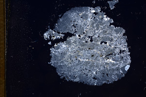 Cross Polarized, E7574