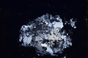 Cross Polarized, E7575