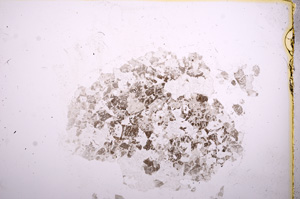 Plane Polarized, E7575