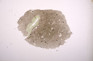 Plane Polarized, E7626