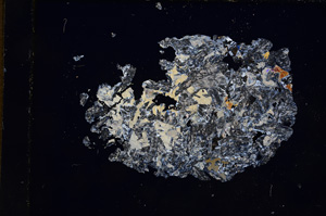 Cross Polarized, E7628