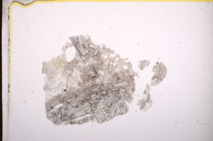 Plane Polarized, E7629