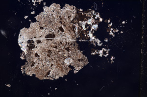 Cross Polarized, E7673