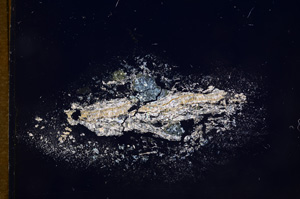 Cross Polarized, E7674