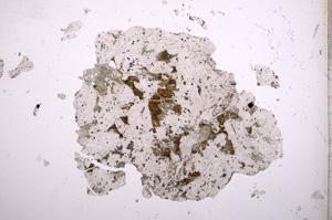 Plane Polarized, E7675