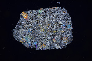 Cross Polarized, E7678