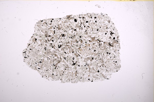 Plane Polarized, E7678