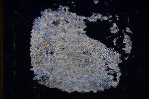 Cross Polarized, E7689