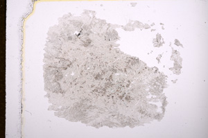 Plane Polarized, E7689