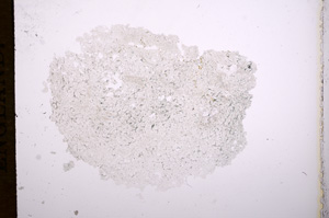 Plane Polarized, E7690