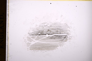 Plane Polarized, E7694
