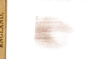 Plane Polarized, E7695