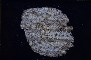 Cross Polarized, E7727