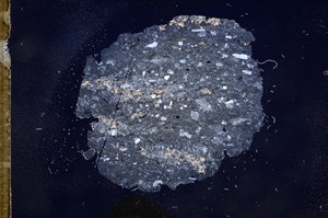 Cross Polarized, E7763