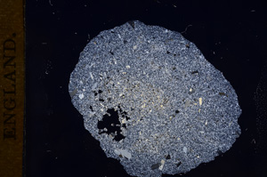 Cross Polarized, E7768
