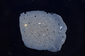Cross Polarized, E7775