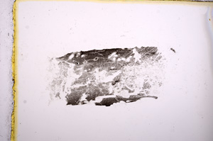 Plane Polarized, E7837/A