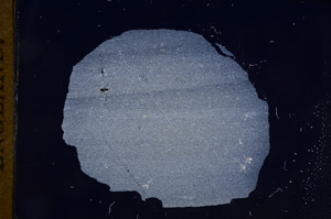 Cross Polarized, E7849
