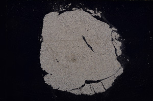 Cross Polarized, E7872