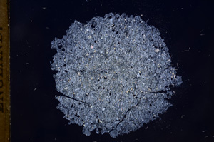 Cross Polarized, E7875