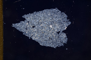 Cross Polarized, E7876