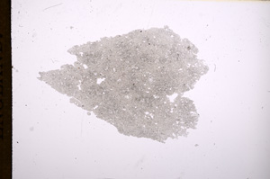 Plane Polarized, E7876