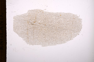 Plane Polarized, E7934