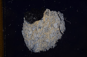 Cross Polarized, E7938