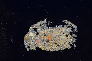 Cross Polarized, E7943