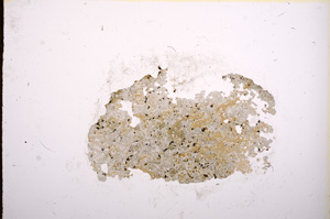 Plane Polarized, E7943