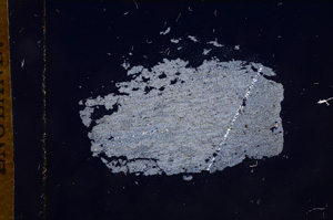 Cross Polarized, E7954