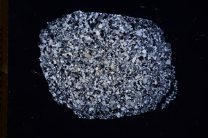 Cross Polarized, E8056