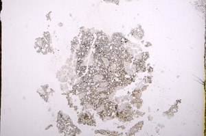 Plane Polarized, E8057
