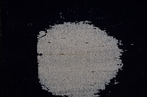 Cross Polarized, E8065