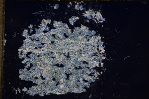 Cross Polarized, E8129