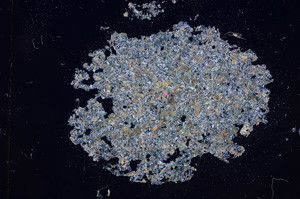 Cross Polarized, E8130